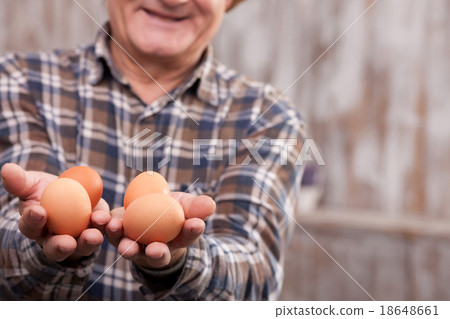 Cheerful mature farm worker with organic products Cheerful mature farm worker with organic products 18648661