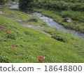 Higishioka and Brook 18648800