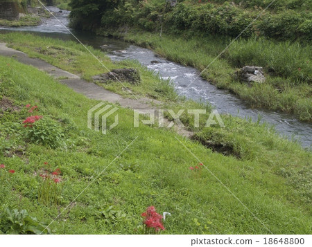 Higishioka and Brook Higishioka and Brook 18648800
