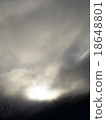 Morning 18648801