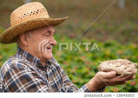 Cheerful old male worker with organic product 18648805