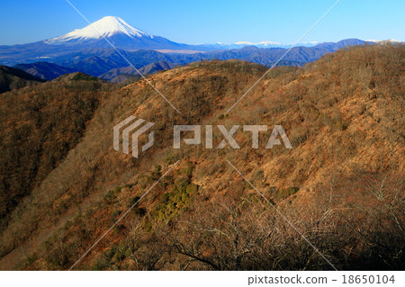 冬天的Tanzawa·Nabe山和富士山 18650104