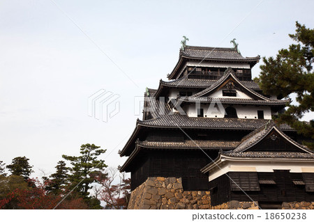 Matsue Castle Matsue Castle 18650238