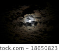 moon and clouds 18650823