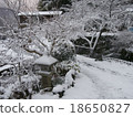 Winter garden 18650827