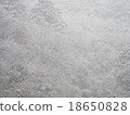 Silver world 18650828