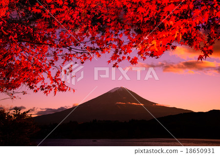 Autumnal leaves dyed in sunset and Fuji 18650931