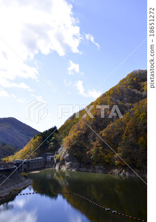 Autumn leaves of Okumo Flower Dam 18651272