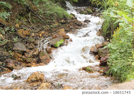 乍得Tsubomigoke公園河 乍得Tsubomigoke公園河 18651745