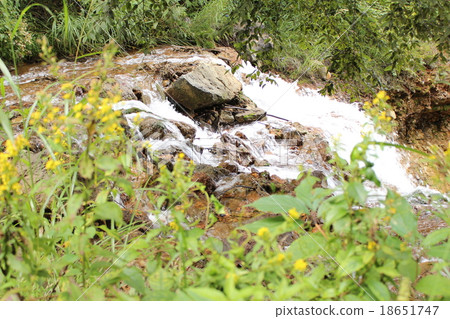 The river of Chad Tsubomigoke park The river of Chad Tsubomigoke park 18651747