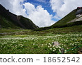 Flower garden of Norikura mountain peak Tatamaira 18652542