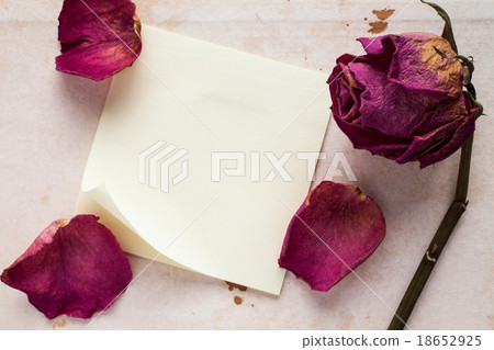 Old rose and blank sticky note paper 18652925