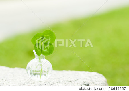 One lucky four leaf clover background path to the bin One lucky four leaf clover background path to the bin 18654367