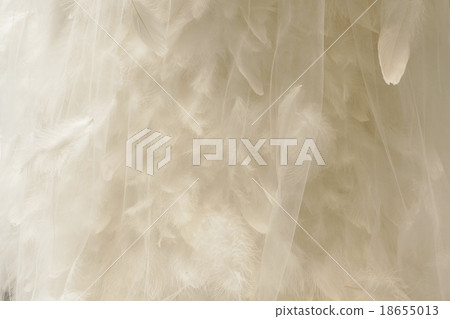 Feather background material - White organdy and white feathers · Horizontal position 18655013