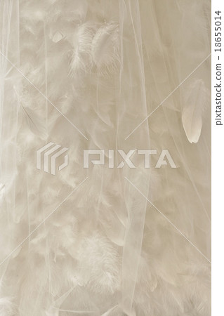 Feather background material · White organdy and white feather · Vertical position 18655014