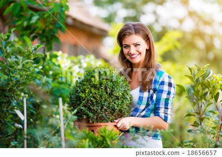 Beautiful young woman gardening 18656657