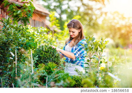 Beautiful young woman gardening 18656658