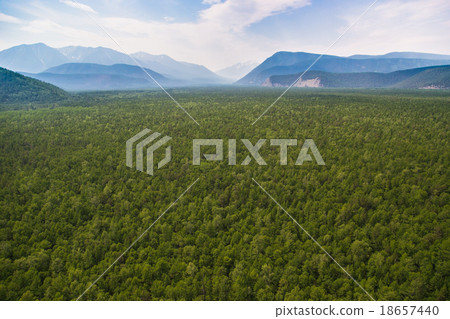 Forest Valley and  mountains from the air 18657440