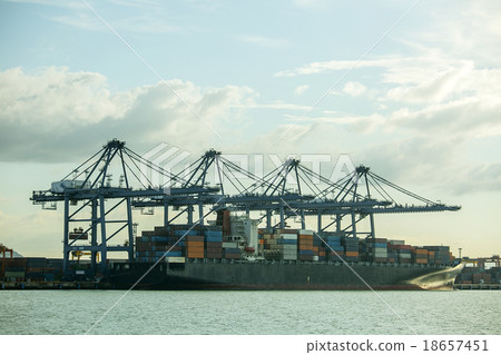 Port container terminal for transporatation Port container terminal for transporatation 18657451
