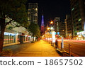 法國Tricolore東京鐵塔的記憶 18657502