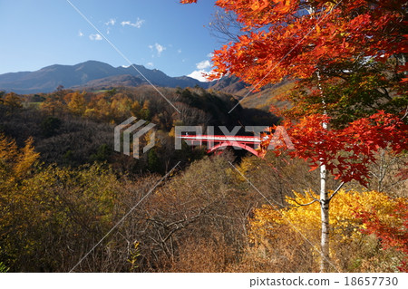 秋葉紅色橋樑 18657730