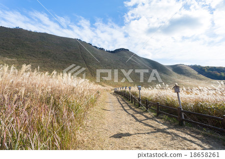Senji plateau in autumn 18658261
