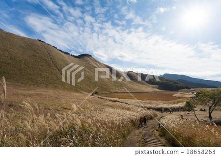Senji plateau in autumn 18658263