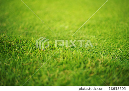 nature grass background nature grass background 18658803