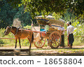 horse carriage sightseeing around to village 18658804