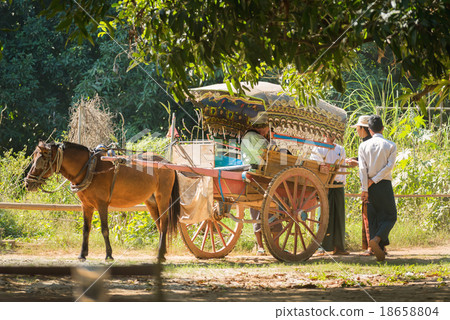 horse carriage sightseeing around to village horse carriage sightseeing around to village 18658804