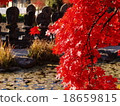 寺廟的秋葉 18659815