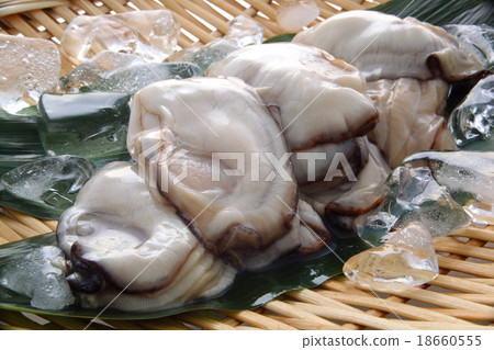 Oyster Oyster 18660555