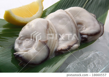 Oyster raw oyster 18660557