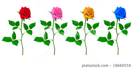 圓形一環_4種顏色 圓形一環_4種顏色 18660558