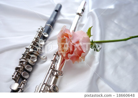 長笛和短笛 18660648