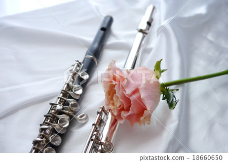 長笛和短笛 18660650