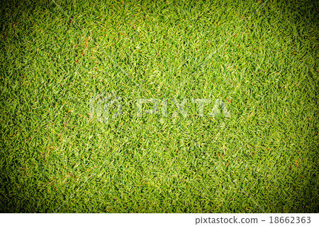 grass background grass background 18662363