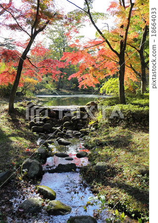 Sentimental Aria ~ Betto Pond Fall 18664033