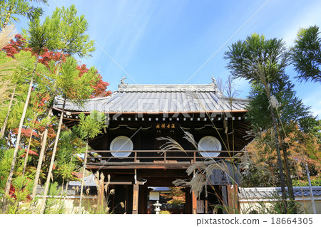 秋天的Genkoan（Takamine）京都 18664305