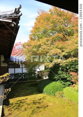 秋天的Genkoan（Takamine）京都 18664308