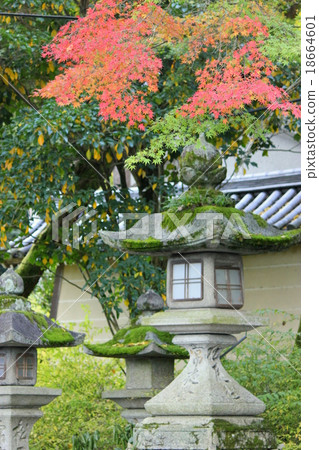 Autumn leaves of Matsuo Taisha Shrine Autumn leaves of Matsuo Taisha Shrine 18664601