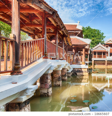 asian tropical garden 18665607