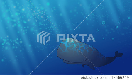 Happy Whale Happy Whale 18666249