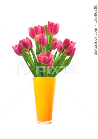 Bouquet of pink tulips in vase isolated on white Bouquet of pink tulips in vase isolated on white 18666280