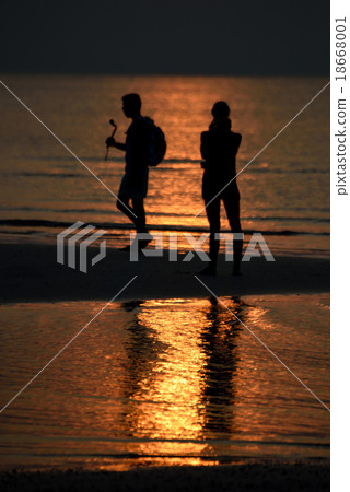 sunset life 18668001