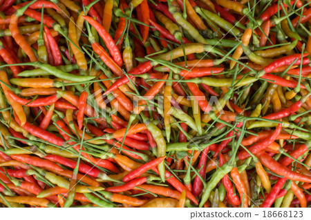 food 18668123