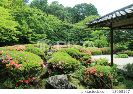 京都資生堂 京都資生堂 18668197