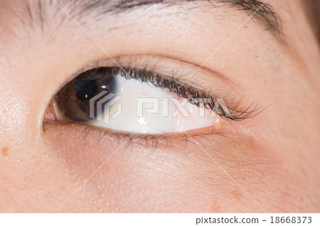 eye exam eye exam 18668373
