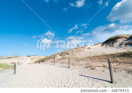 Sand Dunes And Grass Vegetation Background 18670413