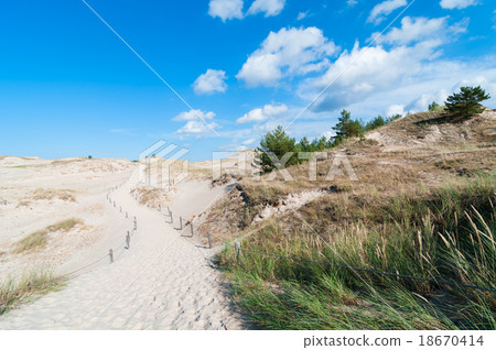 Sand Dunes And Grass Vegetation Background 18670414